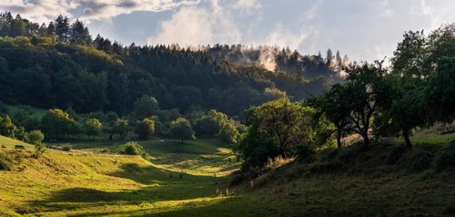 Landscape in the Odenwald with trees, meadows, forest and hills. Sunshine after rain. In the