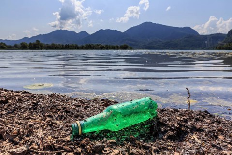 Empty beer bottle lying on the shore of a lake, rubbish, pollution, sunny, Lake Kochel, behind it