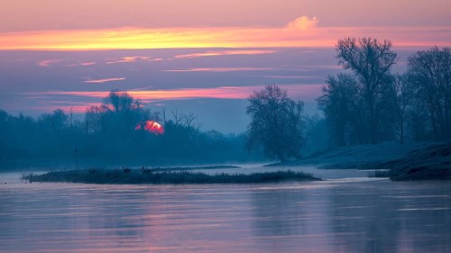 Sunrise on the Middle Elbe, winter landscape in frost, river landscape, fog, reflection of the sun,