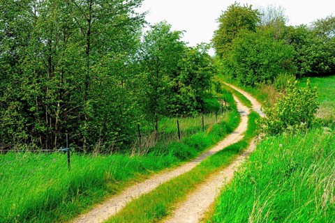 Small curvy gravel road through landscape with bushes on Romele ridge, Skurup municipality, Skåne