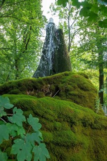Wasserbaum, Ockensen, Salzhemmendorf, Lower Saxony, Germany