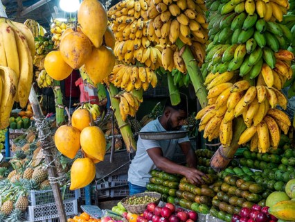 Fruit stand with colourful tropical fruits, bananas, mangoes, Sri Lanka