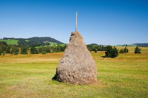 Traditional haystack Triste in the Schwantenau moorland, Canton Schwyz, Switzerland