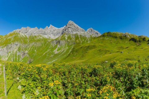 Panorama from the Kemptner Hütte, 1844m, to the Muttlerkopf, 2368m, Allgäu Alps, Allgäu, Bavaria,