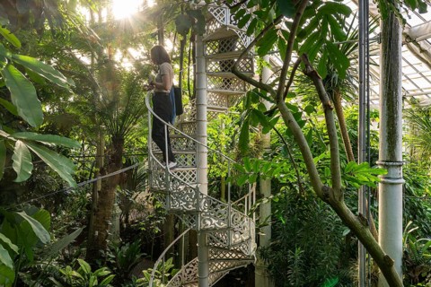 Woman standing on a decorative spiral staircase made of cast iron in a light-flooded tropical