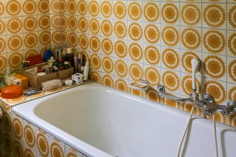 Lost Places, abandoned house, vacant building, old-fashioned bathroom, tiles from the 1970s,