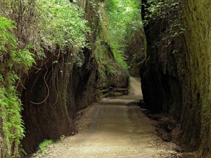 Etruscan path carved into tuff rock, ancient road of the devil, hollow way, Via Cava Il Cavone at