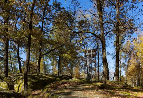 Observation tower in the Blockheide nature park Park near Gmünd, Waldviertel, Lower Austria,