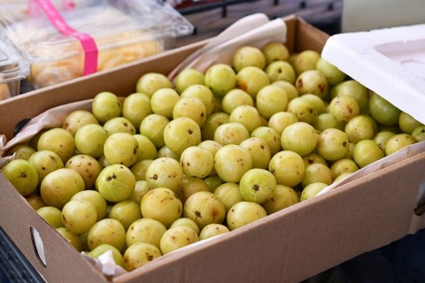 Cardboard box with 'Phyllanthus Emblica' Indian gooseberry fruits
