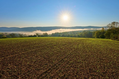 Crop field with forest and hills in the morning light, the sun shines in the blue sky, Großheubach,
