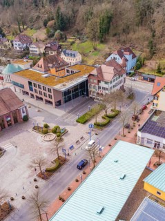 Buildings and streets of a small town surrounded by trees, pastel-coloured architecture and rural