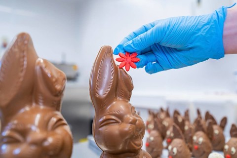 A hand with a blue glove attaches a red flower to a chocolate bunny, Easter baking and chocolate
