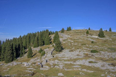 Trenches in karst rock from the First World War, circular hike Monte Fior, Foza, province of