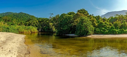 River through the rainforest flowing into Castelhaos beach on Ilhabela island in Sao Paulo, Brazil