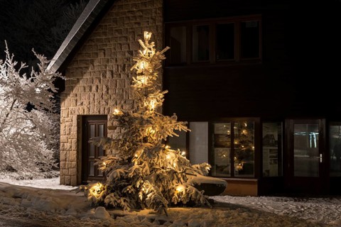 Illuminated Christmas tree in the snow, night shot Oberbärenburg, Erzgebirge, Altenberg, Saxony,