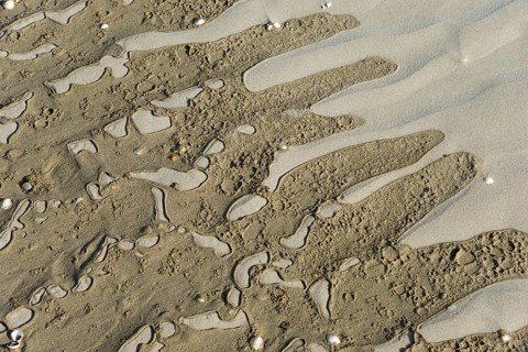 Close-up of wave patterns in the sand with scattered small shells, Plage Saint Efflamm,