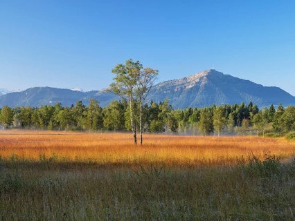 Eigenried raised bog, Zugerberg, behind the Rigi, Canton Zug, Switzerland