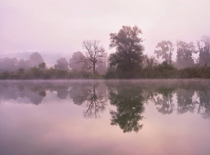 Morning atmosphere at the shallow lake with trees reflected in the water, Rottenschwil, Canton