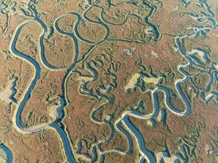 Network of channels and streams at low tide. In the marshland of Isla Cristina. Aerial view. Drone