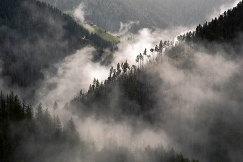 View of the mountain forests with rising clouds, Bolzano, Trentino, South Tyrol, Italy