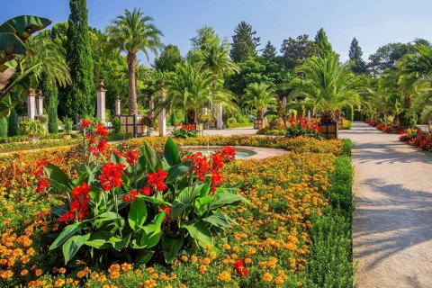 Palm garden in the historic spa gardens, the largest outdoor palm garden north of the Alps, Bad