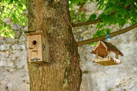 Nesting box, bird feeder, tree, Ossiach, Lake Ossiach, Carinthia, Austria