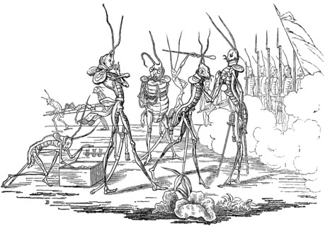 Grasshopper is decorated with a medal, soldiers stand at gunpoint, parable about human life,
