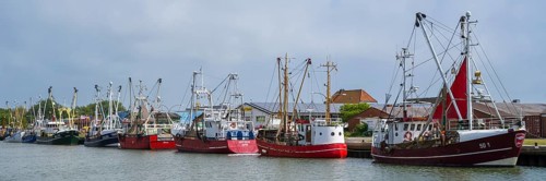 Fishing boats in the fishing harbour, Büsum, North Sea, Schleswig-Holstein, Germany