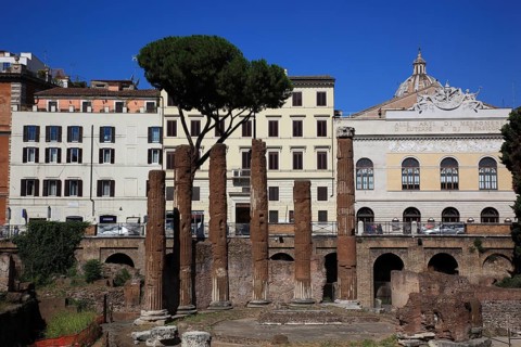Largo di Torre Argentina, a square in the Pigna neighbourhood of Rome on the ancient Campus