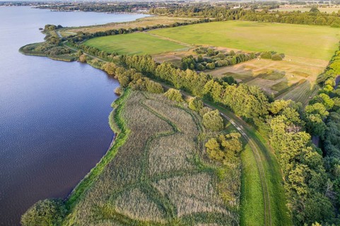 Aerial view of Lake Dümmer, nature reserve, reeds, shore, Ochsenmoor, Hüde, Lower Saxony, Germany