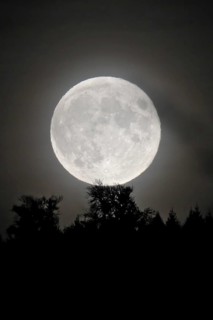 Rising of a Supermoon over forest, Heidelberg, Baden-Wuerttemberg, Germany