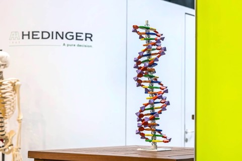DNA helix structural model. Model for the school subject biology. Scientific teaching aid from