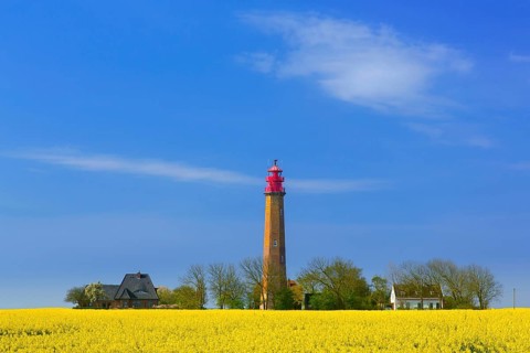 Flügge, Fluegge lighthouse in flowering rape field on Fehmarn island in the Baltic Sea in spring,