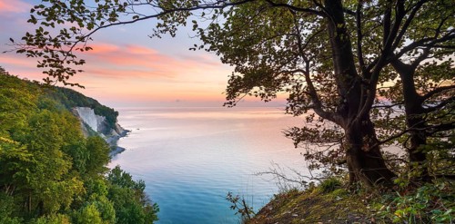 View from the high shore of the chalk cliffs on the Baltic Sea in front of sunrise, beech trees on