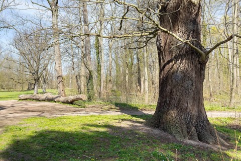 In Lützschena Castle Park, Leipzig, Saxony, Germany