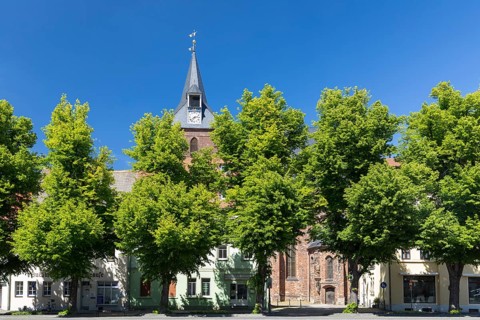 North side of the market square with the town church of St Peter and Paul, Delitzsch, Saxony,