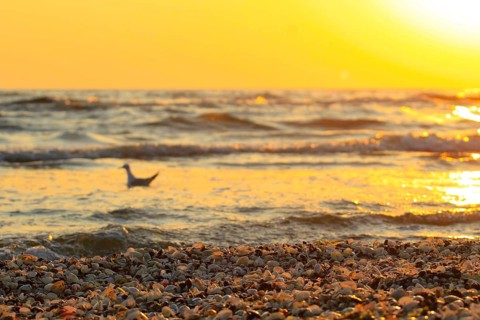 Morning atmosphere on the beach of the Baltic Sea, September, Usedom, Mecklenburg-Western