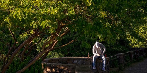 Young man sitting in the sun and engrossed in his mobile phone in the greenery under trees on the