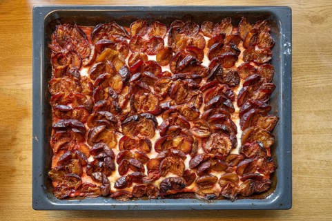 Fresh plum cake on a baking tray, Bavaria, Germany