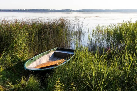 Rowing boat lying in the reeds at the old lido of the Quitzdorf dam, Upper Lusatia, Saxony, Germany