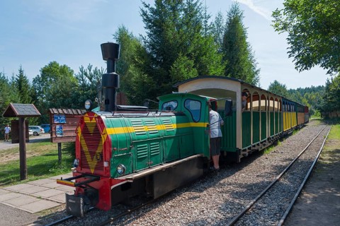 A train stands at a railway keeper's house in the forest, surrounded by summer greenery, diesel