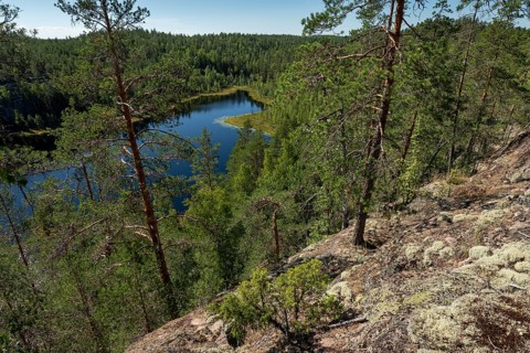 Lake in the forest, Isojärvi National Park, Finland