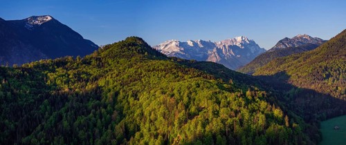 Aerial view, panorama, trees, forest, light green leaves, morning light, mountains, sunny, spring,