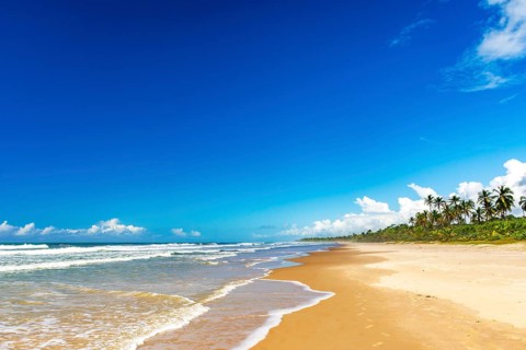 Deserted beach surrounded by coconut trees in Serra Grande on the southern coast of Bahia, Serra