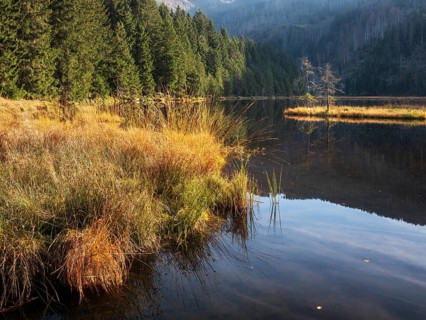 Kleiner Arbersee, Bavarian Forest, Lower Bavaria, Bavaria, Germany
