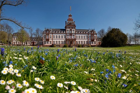 Palace park with Philippsruhe Palace, Historical Museum, Hanau, Hesse, Germany