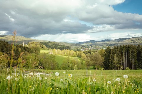 View from the Kostnerhof to Drachselsried, Bavarian Forest, Bavaria, Germany