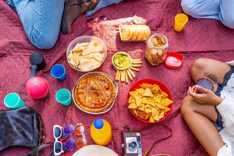 Savory pie, chips, crackers, guacamole, juice, and drinks arranged on a red picnic blanket,