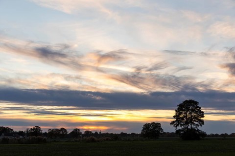 Sunset near Daubitz, Niederspreer pond area, Rietschen, Saxony, Germany