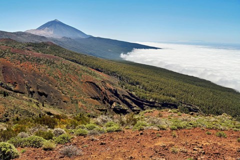 Volcanic landscape, behind volcano Pico del Teide above trade wind clouds, Teide National Park,